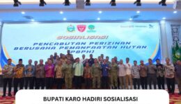 FB_IMG_1776393043673